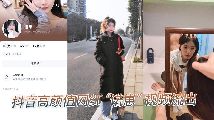 诺崽骚穴流出 高颜值网红被爆操内射