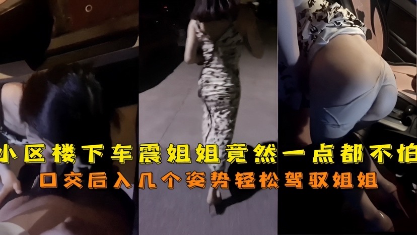 [无码] 小区楼下姐姐车震狂野 骚穴被爆操到喷水