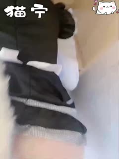 [无码] 猫宁黑丝猫女仆 骚穴被狂干到喷水